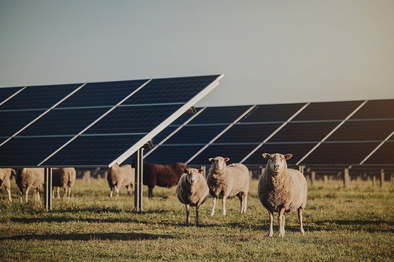 Svea Solar - Sjöbo solpark - 2022-5_websize.jpg