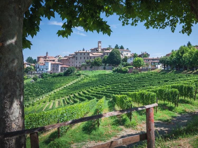Fotovoltaico Piemonte: bonus e incentivi