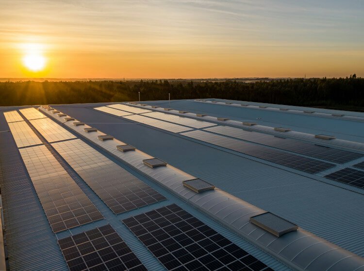 Impatto ambientale pannelli fotovoltaici